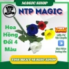 Hoa hồng ảo thuật 4 màu cao cấp, bông vải mềm, thân nhựa cứng cáp, hướng dẫn nhiệt tình, giá 132.300đ 2