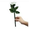 Hoa hồng ảo thuật 4 màu cao cấp, bông vải mềm, thân nhựa cứng cáp, hướng dẫn nhiệt tình, giá 132.300đ 4