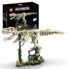 Hóa thạch khủng long Tyrannosaurus Rex – Mô hình lắp ráp giáo dục, giao ngay, 907.906₫ 5