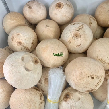 HOÀ TỐC DỪA XIÊM COCO SMILE XANHSAM NATURAL ORGANIC Giá 52.500đ Giảm 20%