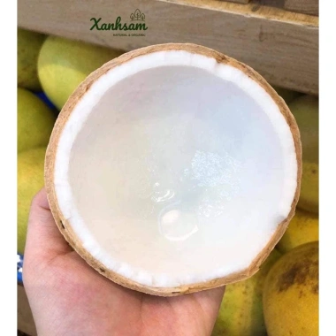 HOÀ TỐC DỪA XIÊM COCO SMILE XANHSAM NATURAL ORGANIC Giá 52.500đ Giảm 20% 4 HOÀ TỐC DỪA XIÊM COCO SMILE XANHSAM NATURAL ORGANIC Giá 52.500đ Giảm 20% 4