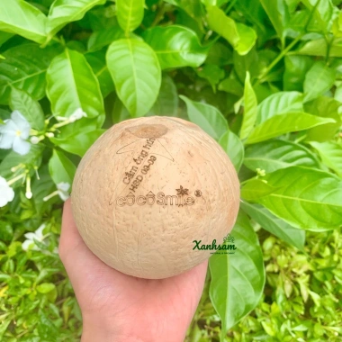 HOÀ TỐC DỪA XIÊM COCO SMILE XANHSAM NATURAL ORGANIC Giá 52.500đ Giảm 20%