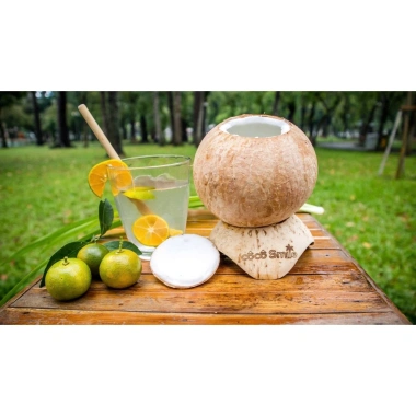 HOÀ TỐC DỪA XIÊM COCO SMILE XANHSAM NATURAL ORGANIC Giá 52.500đ Giảm 20%