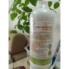 Hương nước mắm cá cơm VDN 2
