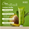 Kem dưỡng da tay Bơ Trà 30g Cấp ẩm, làm dịu, dưỡng sáng mịn Organic Cỏ Cây Hoa 2