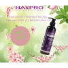 Kem xả khô PPT Maxipro 260ml – Dưỡng tóc khô xơ, suôn mượt, giảm giá 196k 3