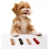 Kẹo cao su nha khoa BOOM BOOM PAW Boost Stick cho chó miệng khớp da ruột mắt 1 que/ngày sản xuất Hàn Quốc 3