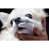 Khăn lau nha khoa Breeder Lab 30 chiếc cho chó mèo, loại bỏ mảng bám, giảm hôi miệng 3