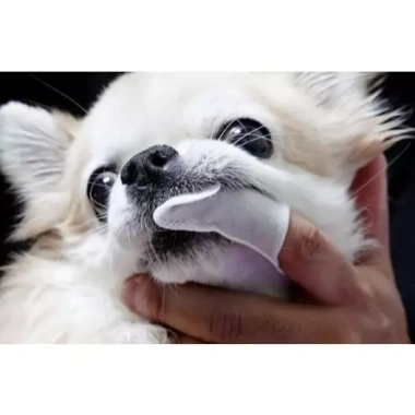 Khăn lau nha khoa Breeder Lab 30 chiếc cho chó mèo, loại bỏ mảng bám, giảm hôi miệng