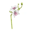 Khối xây dựng vi mô FLAZEA – Gạch mô hình hoa Tulip hồng, lắp ráp nhựa, giá 71.720đ 5
