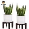 KOZEEY Cây Gỗ Đứng Trong Nhà Trang Trí Kệ Phòng Ăn Quà Tặng Cafe Giá 257.400₫ 8