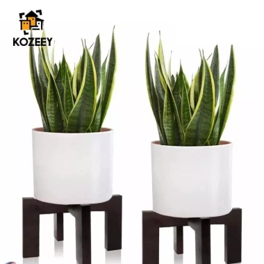 KOZEEY Cây Gỗ Đứng Trong Nhà Trang Trí Kệ Phòng Ăn Quà Tặng Cafe Giá 257.400₫