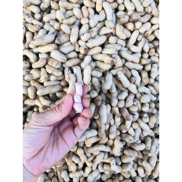 Trải nghiệm 5 món ăn vặt sáng tạo với Lạc Nguyên Vỏ Khô Miền Trung