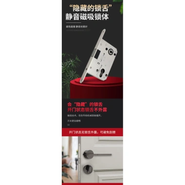 Lê Lang Thép Không Gỉ 5.572 Châu Âu - Khóa Tiêu Chuẩn Thân Cửa Trong Nhà, Vô Hình, Tắt Tiếng, FUYV 7