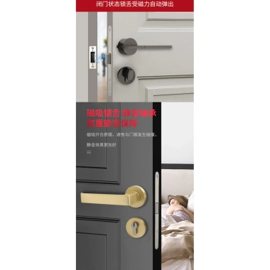 Lê Lang Thép Không Gỉ 5.572 Châu Âu - Khóa Tiêu Chuẩn Thân Cửa Trong Nhà, Vô Hình, Tắt Tiếng, FUYV 8