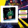 LEGO BOTANICALS 11.504 Đồ Chơi Lắp Ráp Hoa Lan Ý 474 Chi Tiết – Giá 2.039.000 VNĐ