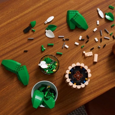 LEGO BOTANICALS 11.504 Đồ Chơi Lắp Ráp Hoa Lan Ý 474 Chi Tiết – Giá 2.039.000 VNĐ 7