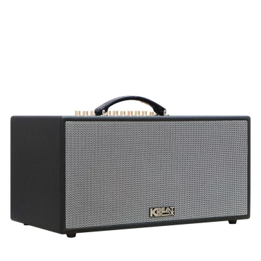 Loa Karaoke ACNOS Flac 36 V2 Bluetooth di động - Chính hãng, tặng dây Optical kết nối Tivi, giá 7,45 triệu VND