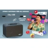 Loa karaoke SONCAMEDIA CS160PRO 80W RMS 400W PMPO - Bảo hành 12 tháng, giá ưu đãi 3.003.855₫ 7