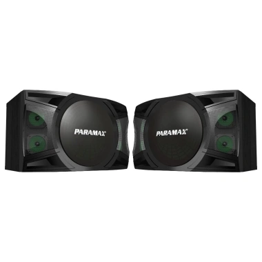 Loa Treo Karaoke 12 inch PARAMAX P-2.500 chính hãng, Bảo hành 5 năm, Giá 8,4 triệu 4