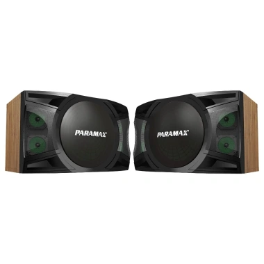 Loa Treo Karaoke 12 inch PARAMAX P-2.500 chính hãng, Bảo hành 5 năm, Giá 8,4 triệu 9