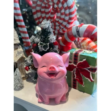 Lợn đất tiết kiệm size trung to đại siêu dễ thương, dáng ngồi xinh xắn - Piggybank Store LD12 h 80.000 VND 2