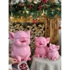 Lợn đất tiết kiệm size trung to đại siêu dễ thương, dáng ngồi xinh xắn - Piggybank Store LD12 h 80.000 VND 7