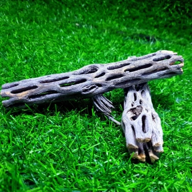 Lũa Cholla Lucas’s Aqua - Lũa tự nhiên cho tép cảnh, tạo biofilm, trang trí hồ thủy sinh, giá chỉ 149.900 2 Lũa Cholla Lucas’s Aqua - Lũa tự nhiên cho tép cảnh, tạo biofilm, trang trí hồ thủy sinh, giá chỉ 149.900 2