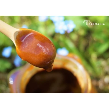 Mật Thốt Nốt PALMANIA Organic giảm giá 99k, dinh dưỡng cao, thơm ngon tự nhiên