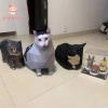 Mẫu giấy mèo Oiiiao DIY Kitten Stereo Origami - Quà tặng Maxwell Cat, chỉ 63.360₫