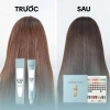 Màu Nhuộm POLAN Professional 2.026 146 Màu Trend, Dưỡng Tóc Bóng Mượt, Giá 48k 8