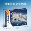 Máy bay chiến đấu J-15 trên tàu sân bay – Mô hình giáo dục bé trai, giảm còn 386.033đ 5