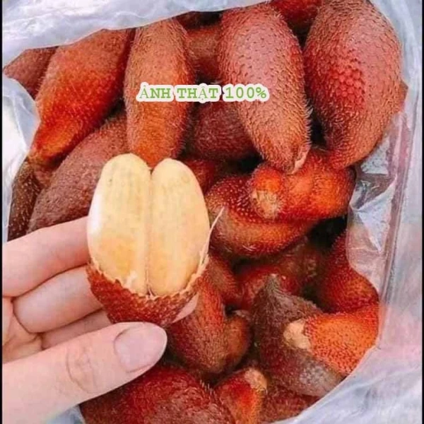 Hình ảnh sản phẩm Mây Thái Chua Ngọt Đặc Sản Giảm Giá! 1kg Mây Thái Ngon Chỉ 99k - Giao Hàng TPHCM