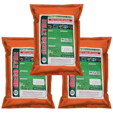 MEGA ZYME Men Vi Sinh Đối Kháng Xuất Huyết, Chướng Hơi, Sinh Bụng - Giá 175.000đ 5