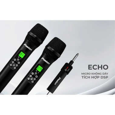 Mic không dây PARAMAX PASION ECHO 2.025 - Chính hãng, bảo hành 12 tháng, giảm 1,7tr 3