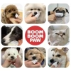 Miếng đệm nha khoa ngón tay BOOM PAW cho chó mèo vòng kép 30-60 răng miệng nướu 2