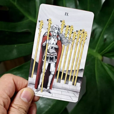 Mirror Tarot Deck 78 lá Rider với viền mạ vàng đỏ, kèm sách hướng dẫn, giảm còn 127.440 VND 3