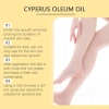 Mua 1 Tặng 1 Dầu Cyperus Rotundus Tẩy Lông Nguyên Bản 60ml Giá Sốc 176.113 VND 5