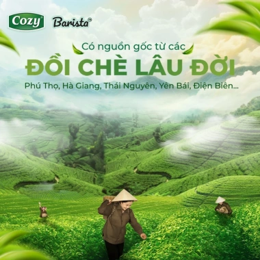 Mua 10 Tặng 1 Combo 10 Bột Matcha Barista 200gr - Matcha Latte và Mứt Bánh Kẹo