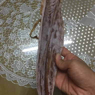 Mực câu biển Cửa Lò 500g siêu ngon - Giá ưu đãi 99.000đ, tươi sống 3 Mực câu biển Cửa Lò 500g siêu ngon - Giá ưu đãi 99.000đ, tươi sống 3
