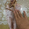 Mực câu biển Cửa Lò 500g siêu ngon - Giá ưu đãi 99.000đ, tươi sống 4