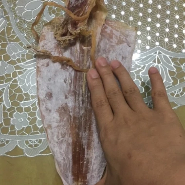 Mực câu biển Cửa Lò 500g siêu ngon - Giá ưu đãi 99.000đ, tươi sống 4 Mực câu biển Cửa Lò 500g siêu ngon - Giá ưu đãi 99.000đ, tươi sống 4