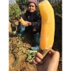 Mứt khoai sâm Quảng Bình sấy dẻo siêu ngon 1kg giá chỉ 59k giảm từ 73k 7