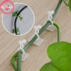 N2HAO 20 chiếc kẹp mây tự dính – Cố định cây leo tường, nhà vườn – Giá 47.300₫