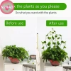 N2HAO 20 chiếc kẹp mây tự dính – Cố định cây leo tường, nhà vườn – Giá 47.300₫ 3