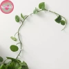 N2HAO 20 chiếc kẹp mây tự dính – Cố định cây leo tường, nhà vườn – Giá 47.300₫ 5