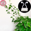 N2HAO 20 chiếc kẹp mây tự dính – Cố định cây leo tường, nhà vườn – Giá 47.300₫ 6