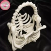 N2HAO Túi Xách 3D Gothic Skeleton Ribcage - Phụ Kiện Halloween Giá 305.030₫