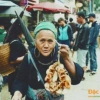 Nấm Hương Rừng Sapa 100g Tươi Ngon Giá Rẻ Chỉ 45000đ - Giảm 12600đ 5