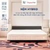 Nệm Foam Lò Xo Hybrid Ru9 25cm Cao Cấp Đàn Hồi Nâng Đỡ, Chuẩn 5 Sao, Lò Xo Độc Lập